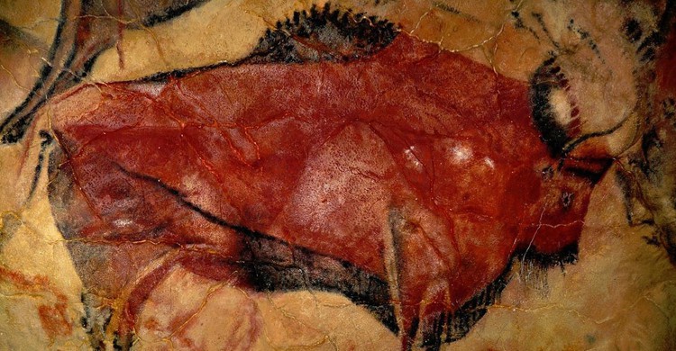 Uno de los bisontes pintados en la cueva de Altamira (Wikimedia.org)