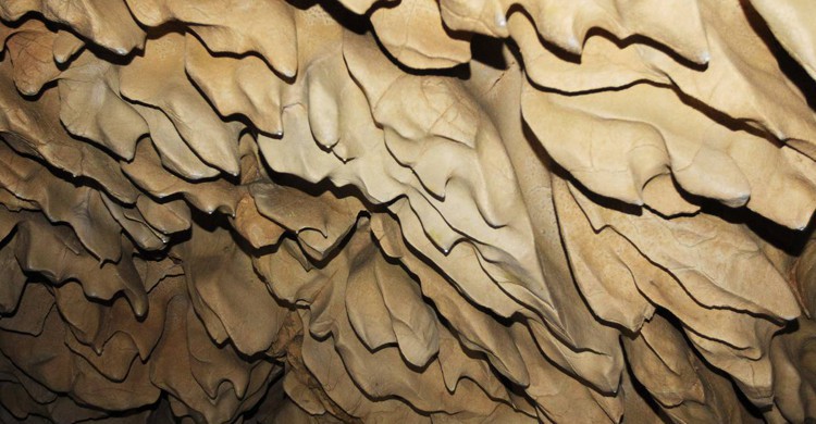 Cueva de Chufín (eldiariomontanes.es)