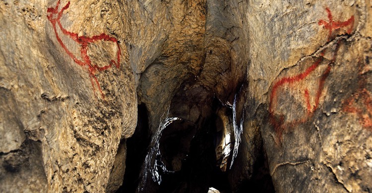 Cueva de Las Covalanas (turismodecantabria.com)