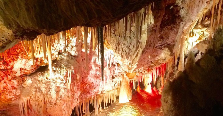 Cuevas de Génova (Balearentrum.de)