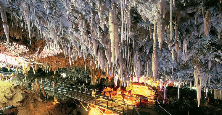 Cueva del Soplao (taquilla.com)