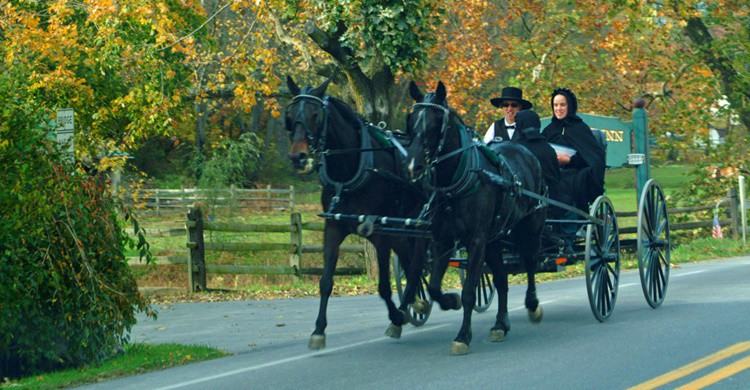 Pareja amish en Lancaster. Ted Van Pelt (Flickr)
