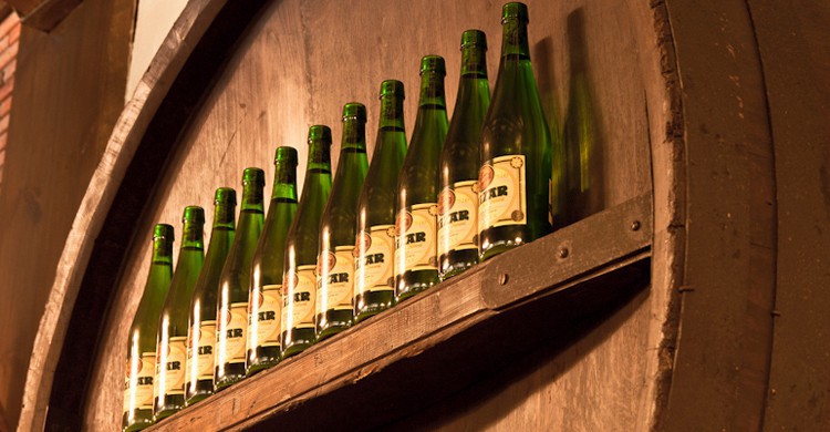 Sidra en kupela. Sidra Saizar