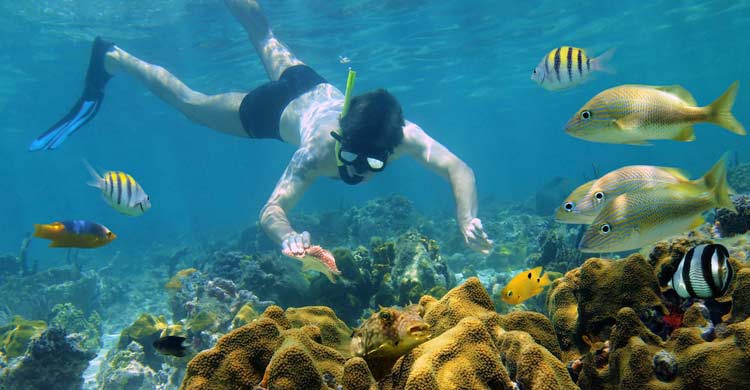 Bocas de Toro es un magnífico lugar para bucear (iStock)