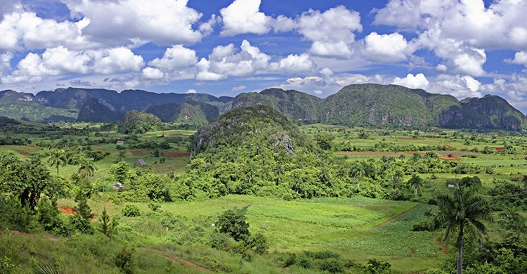 Cuba (iStock)
