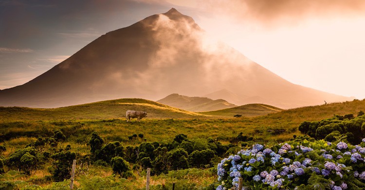 pico / cima de la montaña (Istock)
