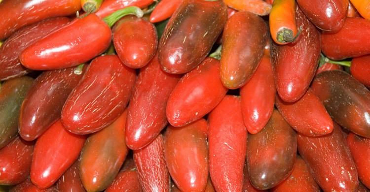 Pimientos típicos que se venden en San Miguel de Allende. Paul Asman and Jill Lenoble (Flickr)