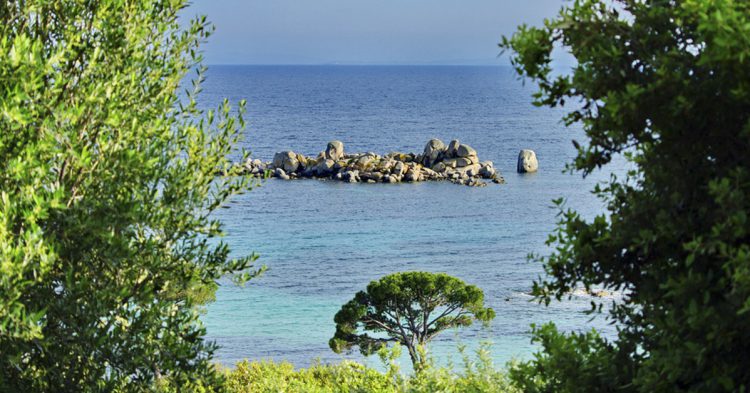 Cala de Palombaggia (Flickr: Pascal POGGI)