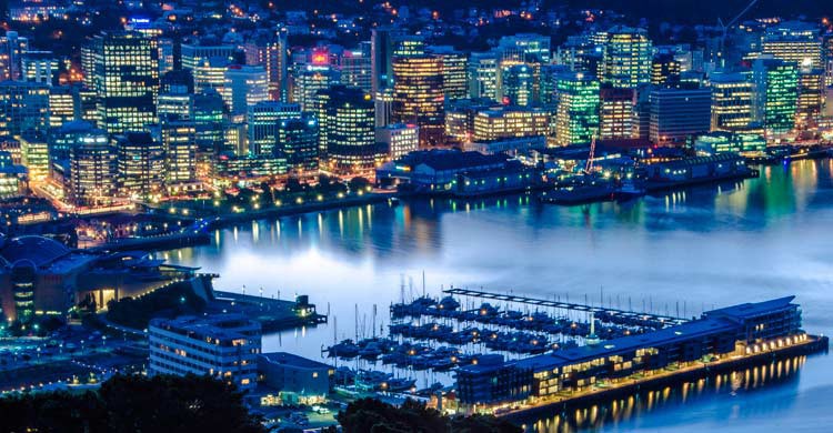 Wellington (iStock)