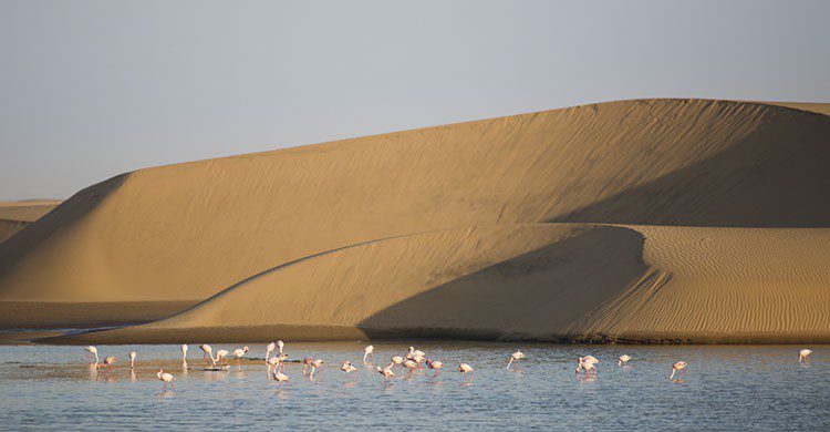 Costa de los esqueletos (iStock)