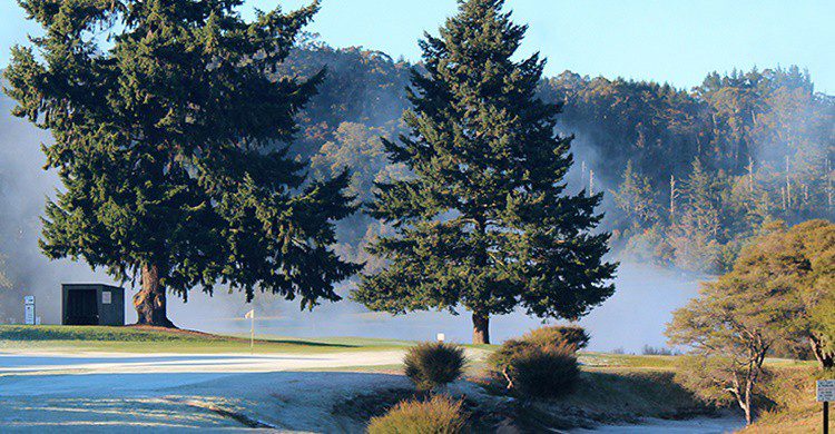 Vapor de agua y gas en el campo de golf (http://rotoruagolfclub.kiwi.nz/)