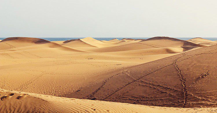 Las Palmas (Pixabay)