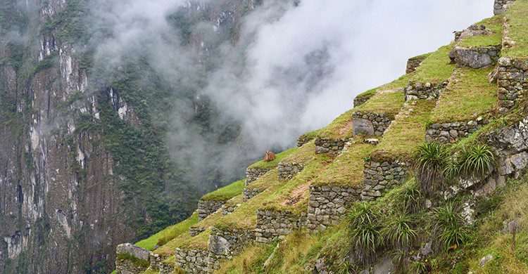 Machu Picchu (iStock)