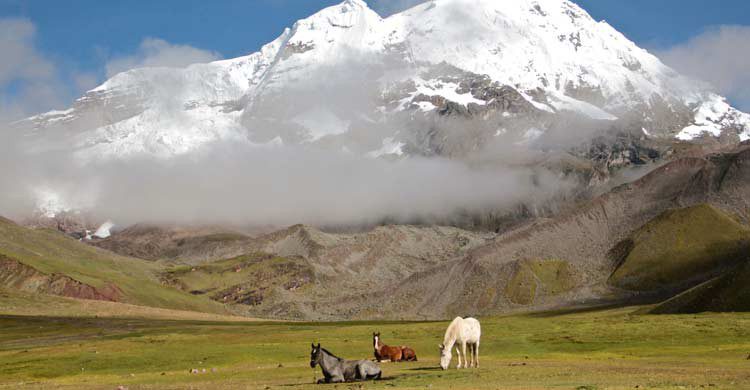 Hay excursiones organizadas para hacer trekking por la zona (iStock)