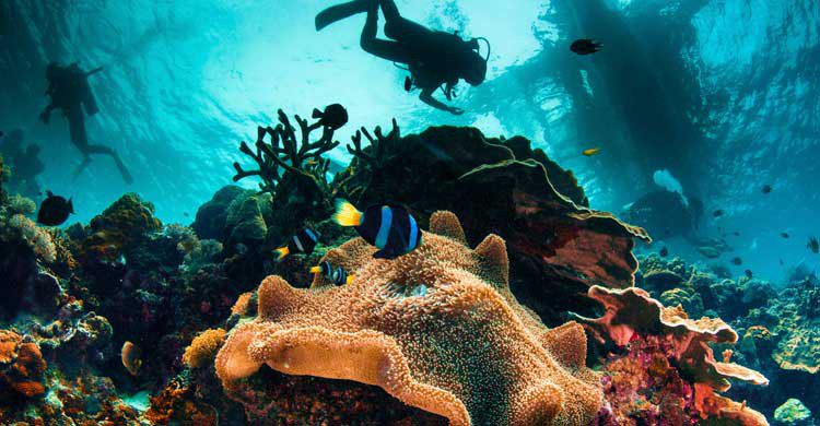 Filipinas es uno de los mejores destinos para la práctica del buceo (iStock)