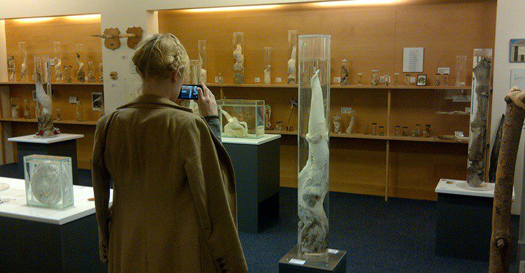 Turista en el museo (http://phallus.is/es/fotos.html)