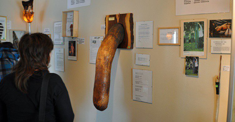 Visitante en el museo (http://phallus.is/es/fotos.html)