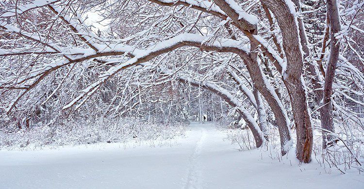 Siberia (iStock)