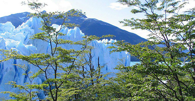 Perito Moreno (Pixabay)