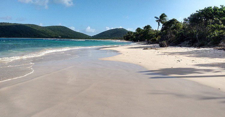 Playa Flamenco (morarie, Foter)