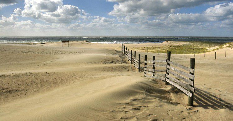 Punta del Diablo (Vince Alongi, Foter)