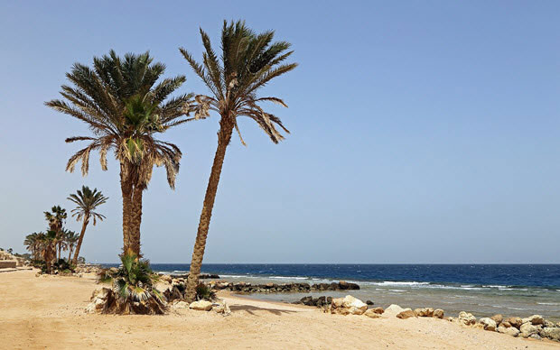 Playas y oasis de Egipto