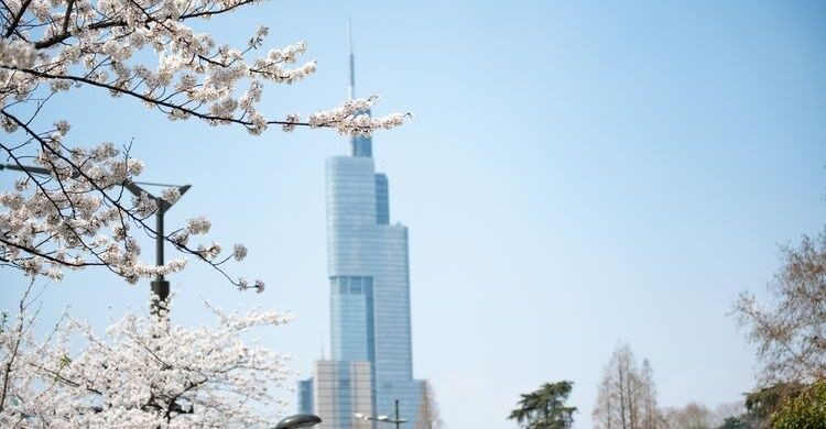Zifeng Tower, China (istock)