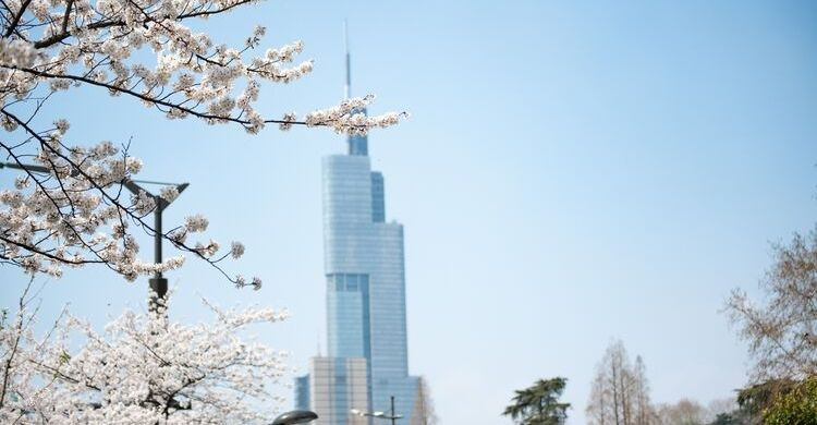 Zifeng Tower, China (istock)