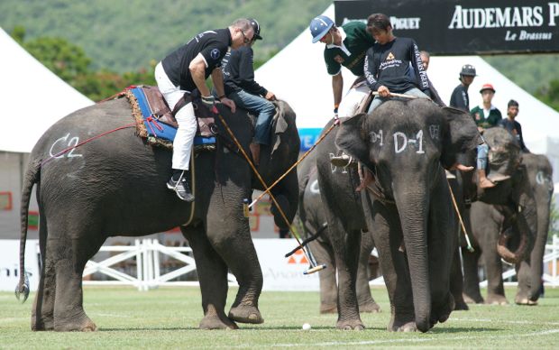 Polo en elefante en Bangkok
