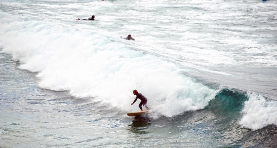 Playas que ver en Sidney