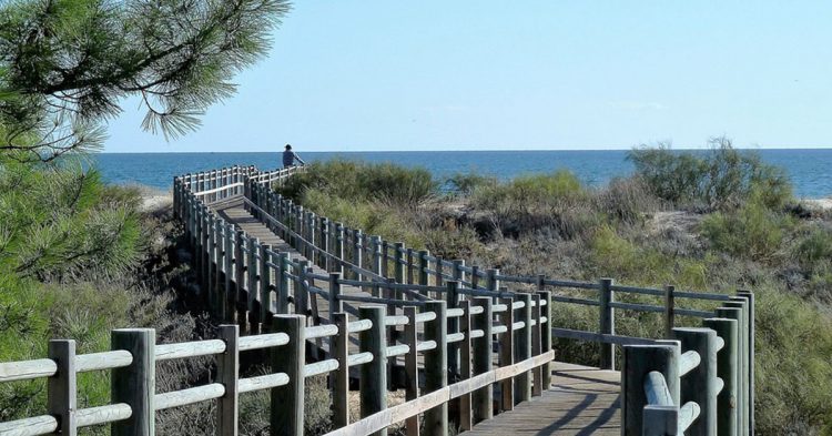 Camino para acceder a una de las playas del Algarve (Pixabay)