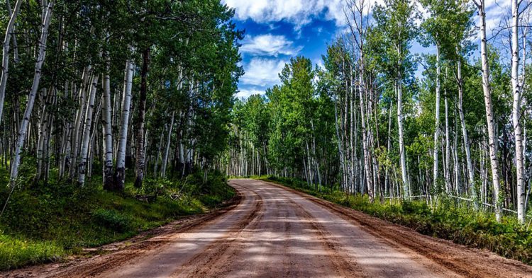 Camino en bici de Aspen (Pixabay)