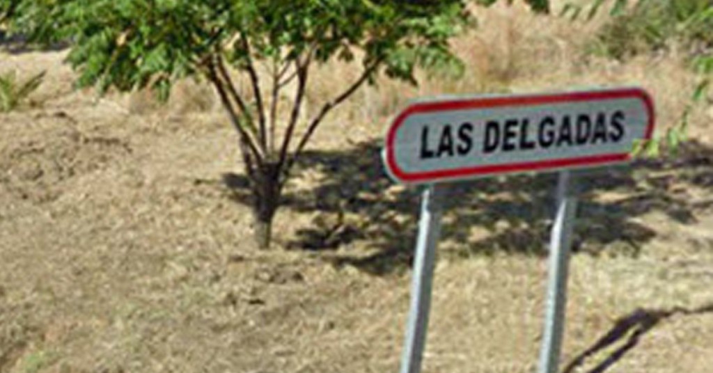 Las delgadas