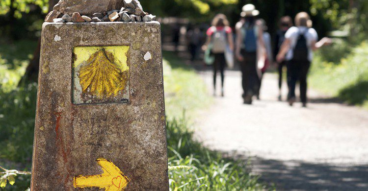 Camino de Santiago (iStock)