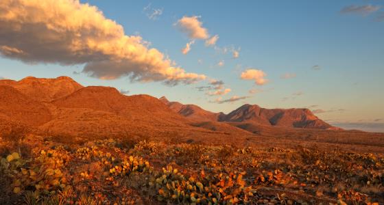 Desierto de Chihuahua