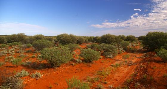 Desierto de Victoria