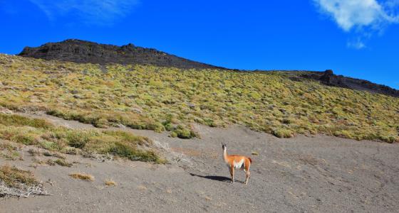 Desierto de la Patagonia