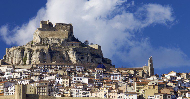 Morella (iStock)