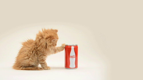 Gatito con Coca-Cola (Giphy)