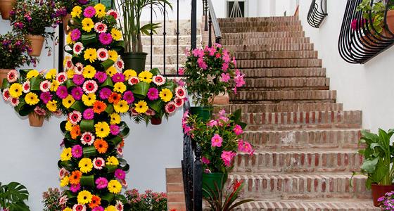 folclore y tradiciones