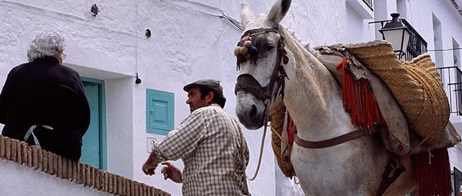Sigue leyendo 7 motivos para ir a Frigiliana