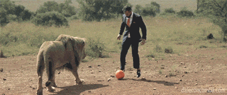 León jugando al fútbol (Giphy)