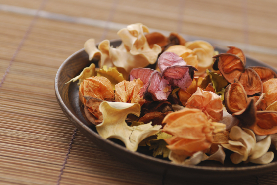 iStock_000010415086_Medium