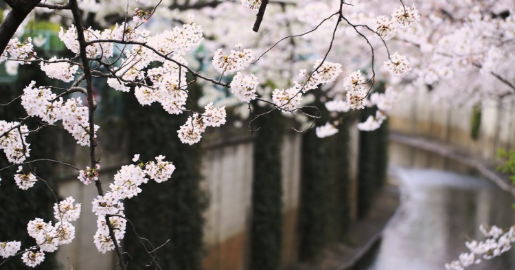 El Monte Omine prohibido a las mujeres pese a ser Patrimonio de la Humanidad (iStock)
