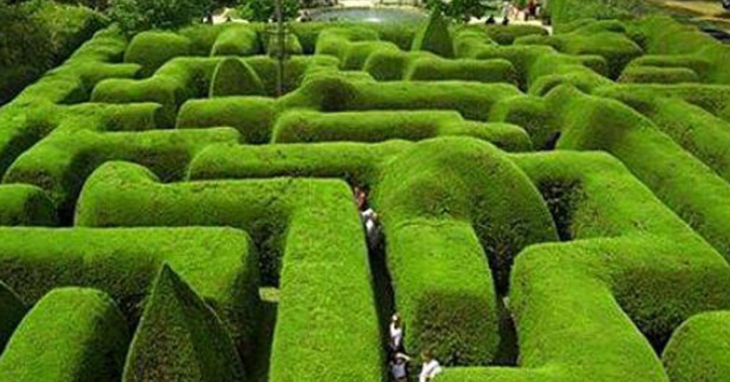 Ashcombe Maze