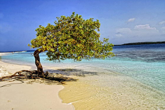 Los 10 lugares mas espectaculares que ver de Venezuela