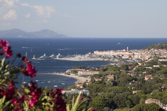 iStock_000013741376_Medium