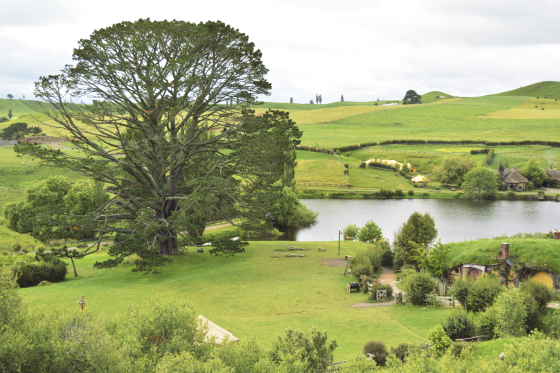 iStock_000054653640_Medium