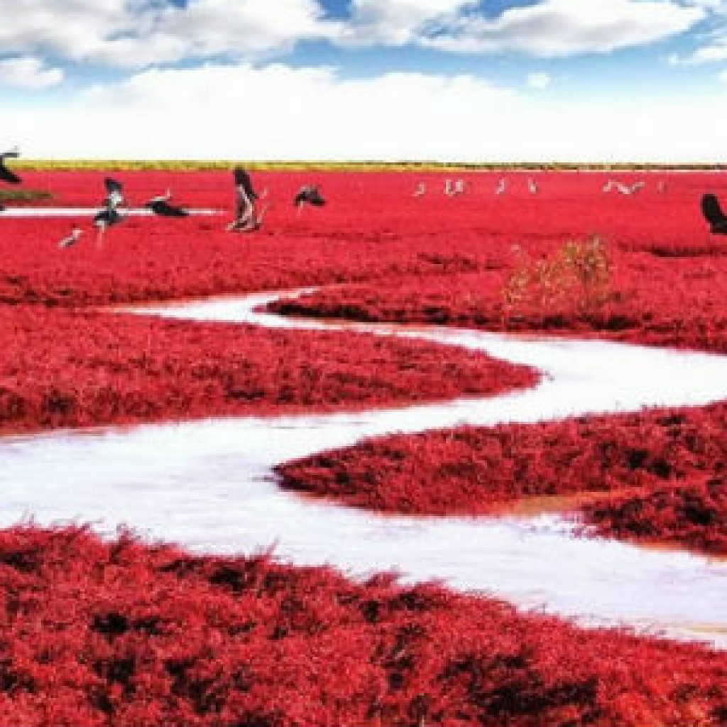 30Red-Beach-Panjin-2