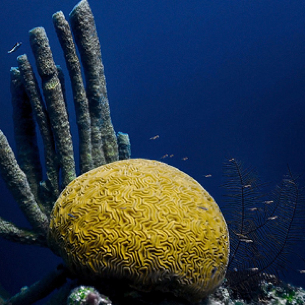 4. Great Blue Hole, Belice